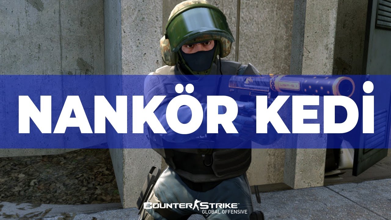NANKÖR KEDİ - CSGO