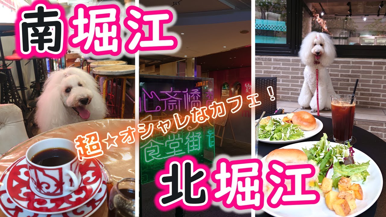 ★南堀江・北堀江 / 犬も連れて行けるカフェ♪★＋心斎橋で昼飲み！