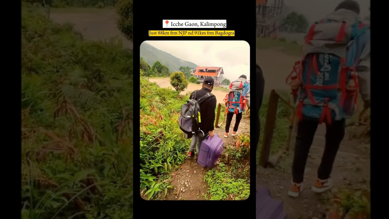 Icche Gaon,🏔️Kalimpong | #shorts #darjeeling #viral #explore #mountains #shortsvideo #travel
