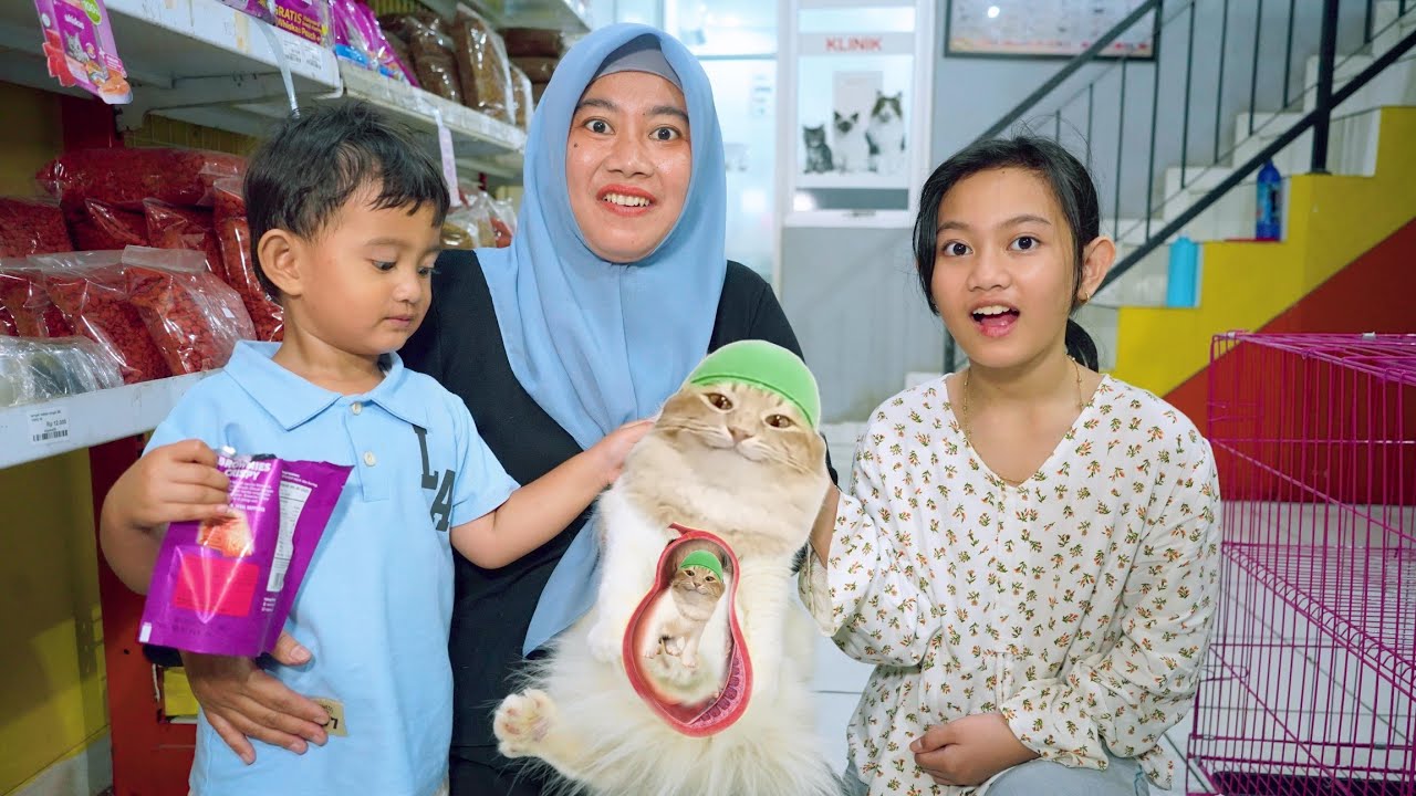 KUCING TOB TOBI TOB AZAM HAMIL 🙀 BELI VITAMIN UNTUK KUCING HAMIL