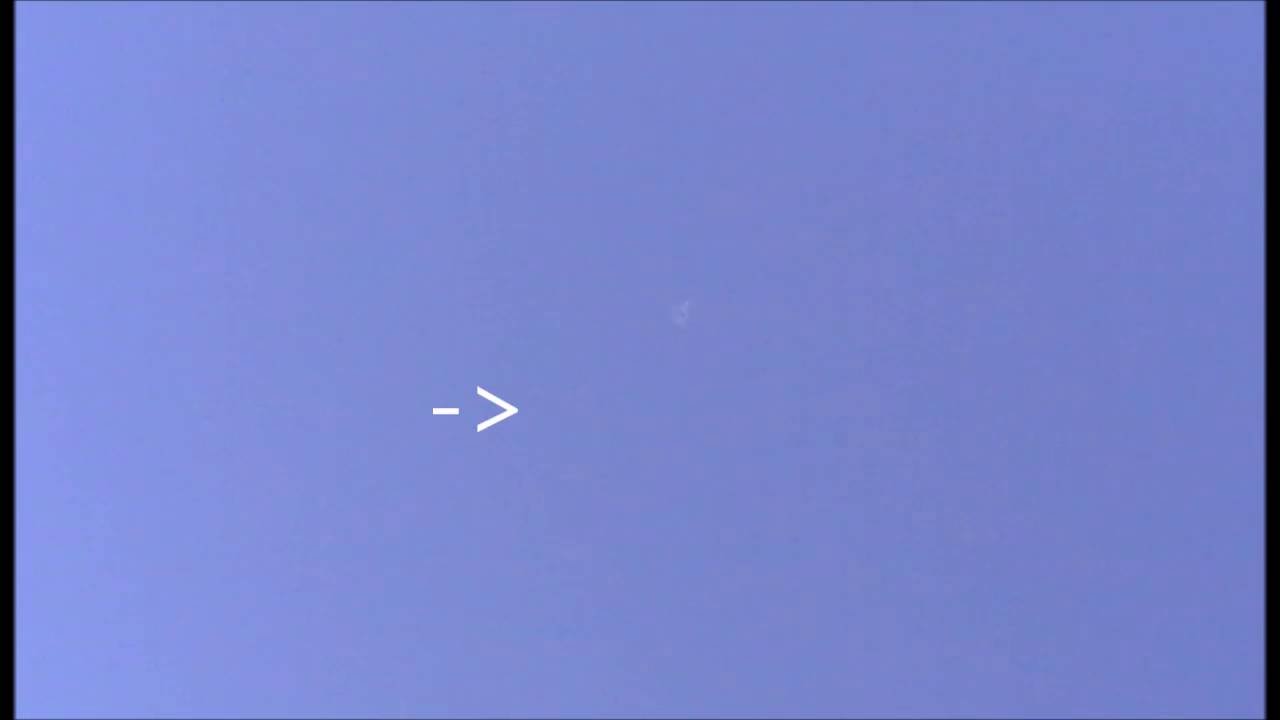 Wiener Hochflieger - blinkender Stern am Tageshimmel