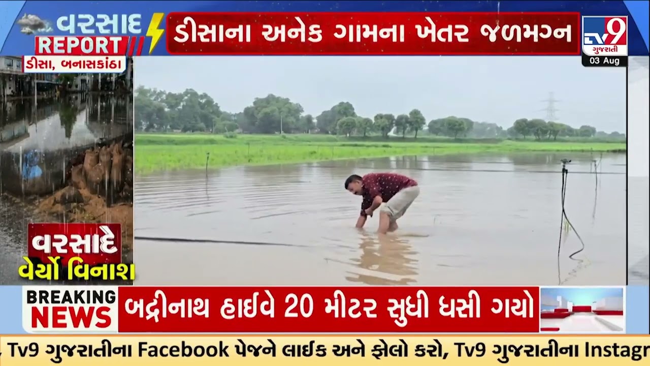 Banaskantha Rain Disaster: Farmers&rsquo; Crops Destroyed After Heavy Rain | Gujarat | TV9Gujarati