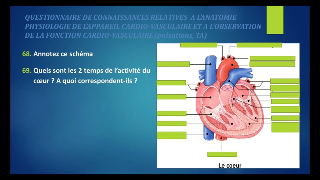 Mobilisation de connaissances UE 2.2 S1- Cycles de la vie et grandes fonctions 2/2
