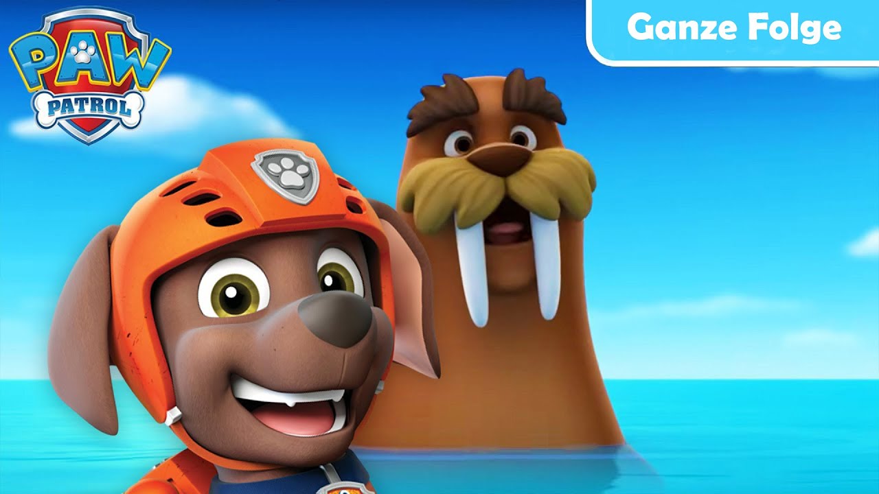 Welpen retten ein Walross - GANZE FOLGE -  PAW Patrol Germany - Cartoons für Kinder