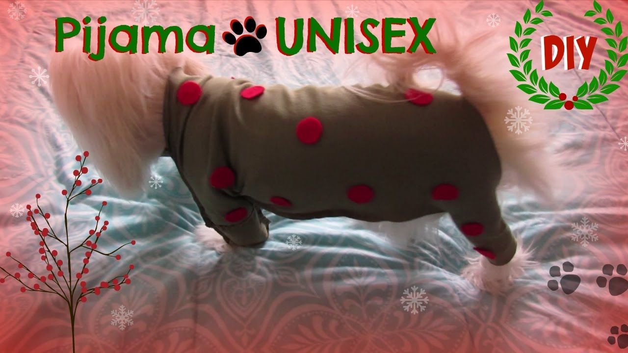 DIY Pijama para Perros de Navidad FACIL , UNISEX, Coton de tulear I Lorentix