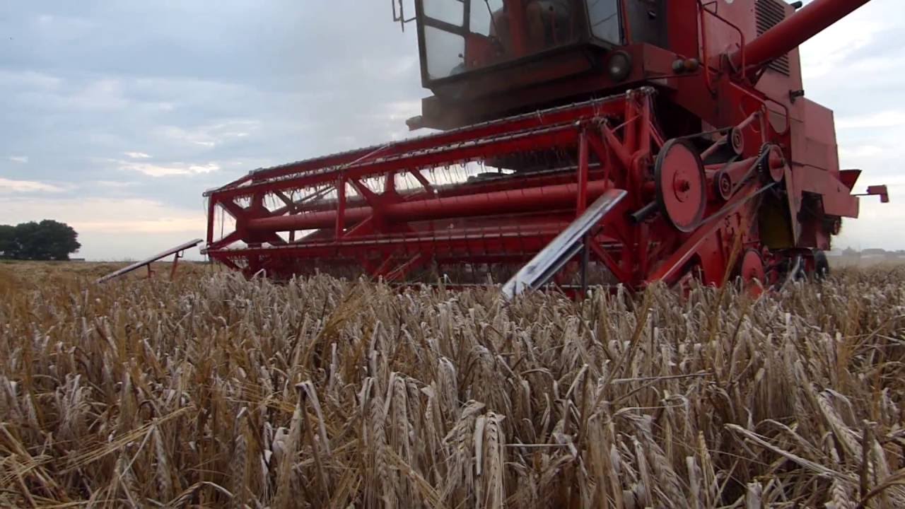 *Żniwa 2016 Kemper be przyczepa samozbierająca do kostek *Harvest*
