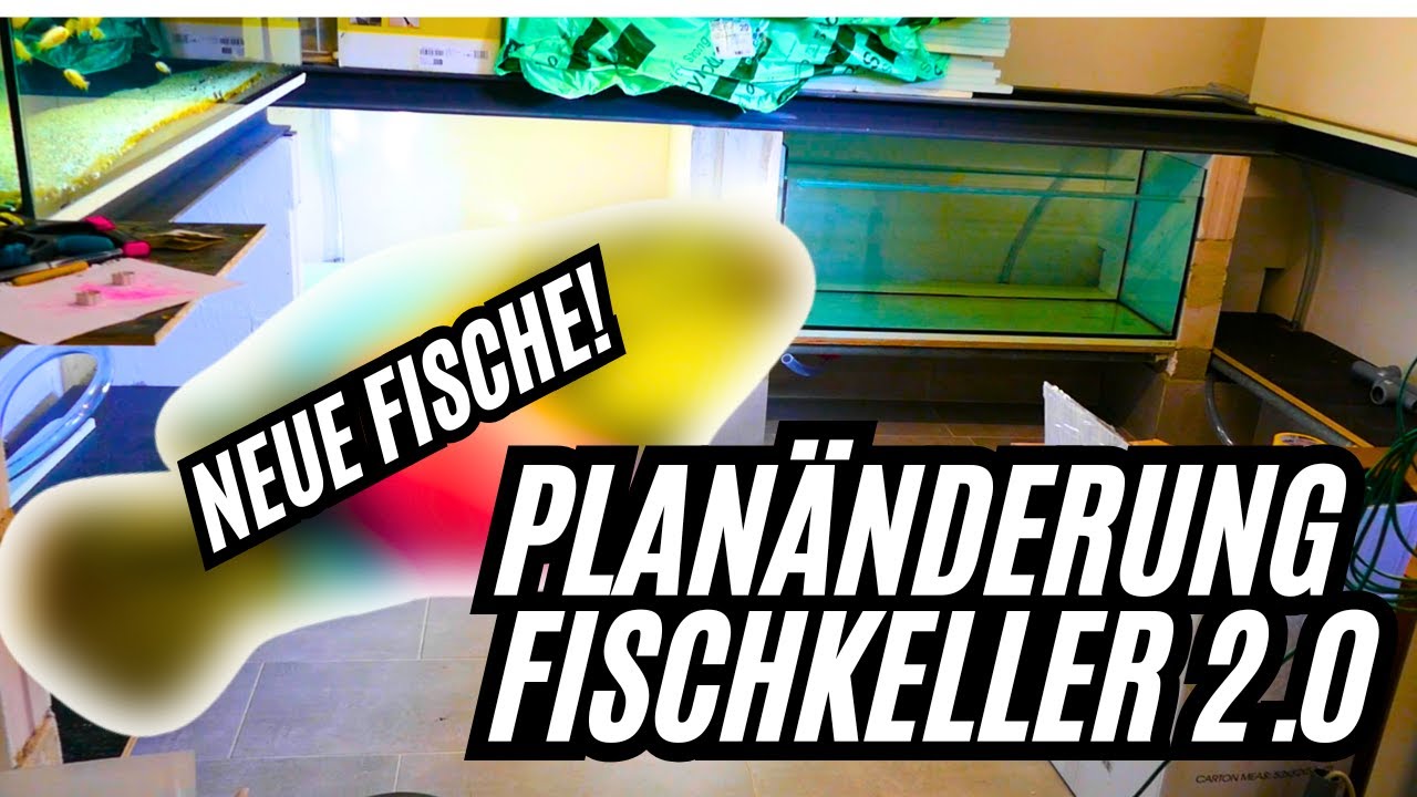 Neuer PLAN im FISCHKELLER 2.0