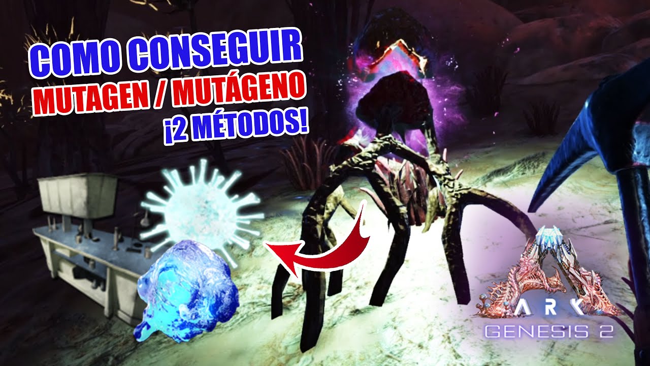 ¡COMO CONSEGUIR 