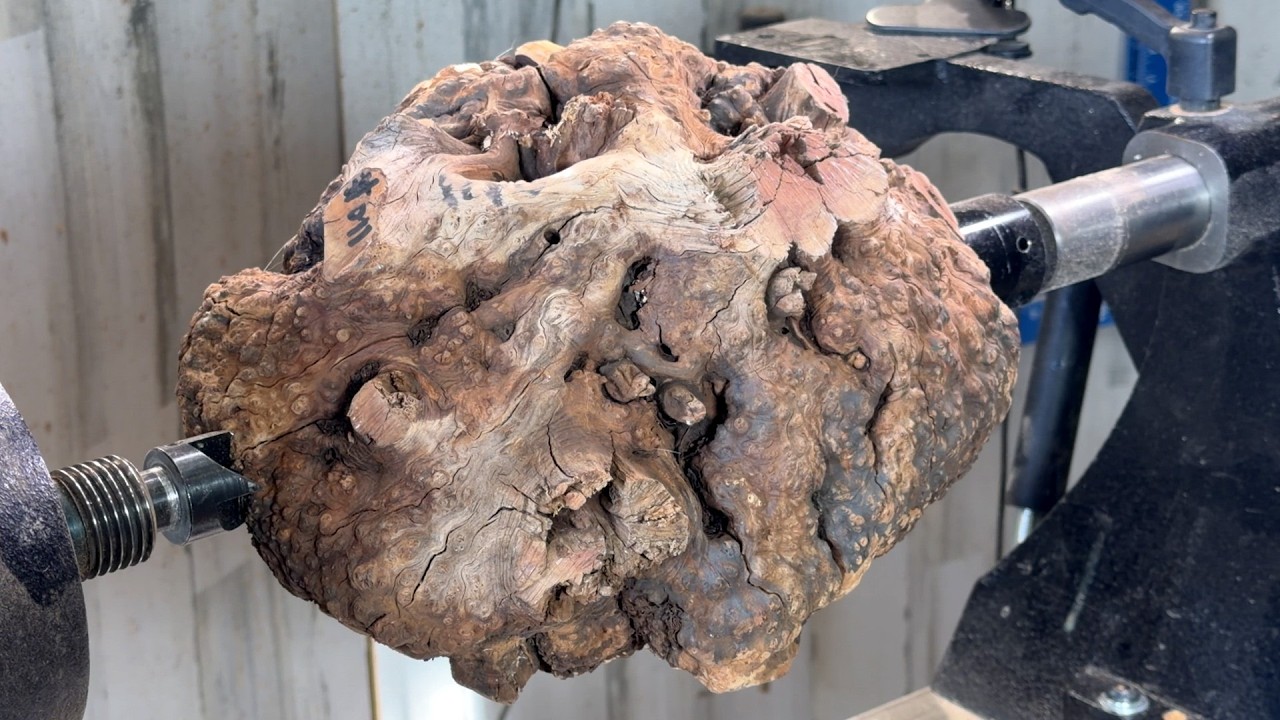 Fire & Ice - Manzanita Burl - Woodturning