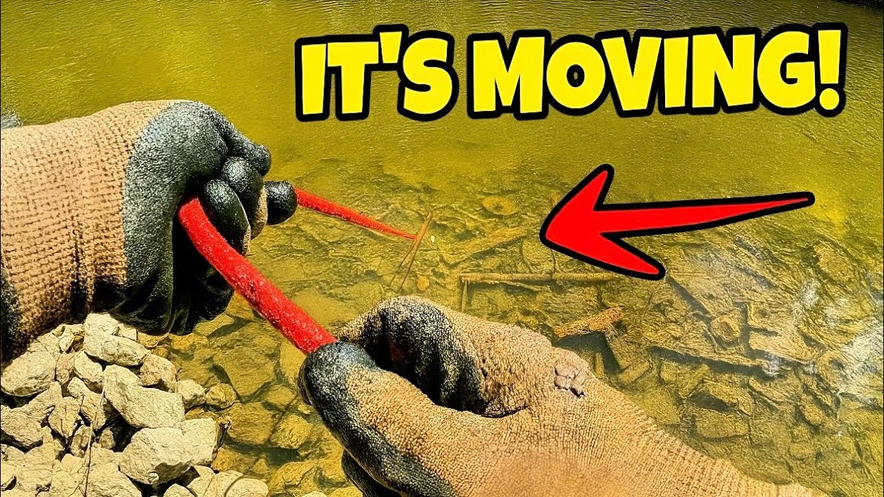 20 Days Magnet Fishing The Most INFESTED Rivers!
