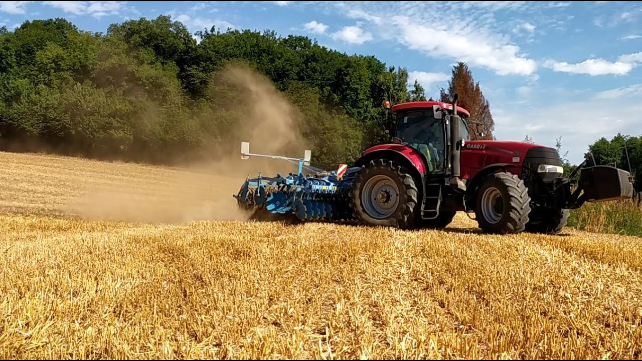 Déchaumage sur Orge / LEMKEN Rubin 9 / Case Puma 165