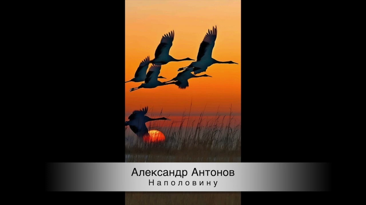 Александр Антонов-Наполовину(2025)