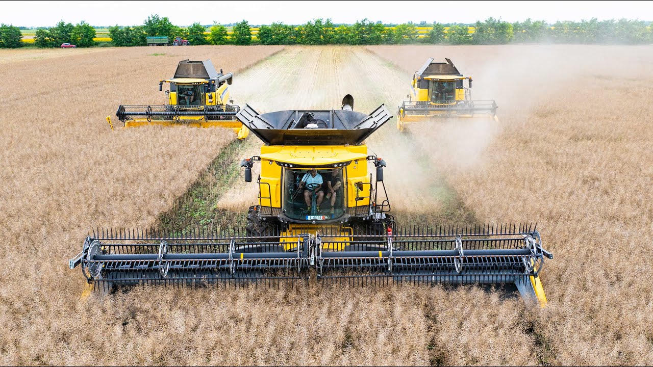 Repce arat&aacute;s 2024 | New Holland CR 9.90 (2024) + MACDON + CR 8.90 + CX 6.80