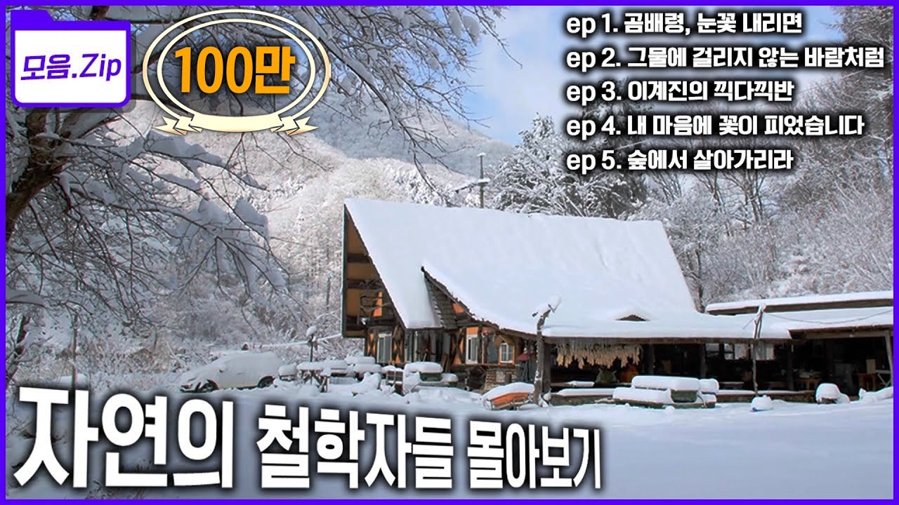[모음zip🔴숲] ‘빌딩 숲’에서 ‘진짜 숲’으로 ‘매운맛 인생’에서 ‘순한 맛 인생’으로 삶이 자연이고, 자연이 삶이 된 자연의 철학자들! | KBS 2023년 방송