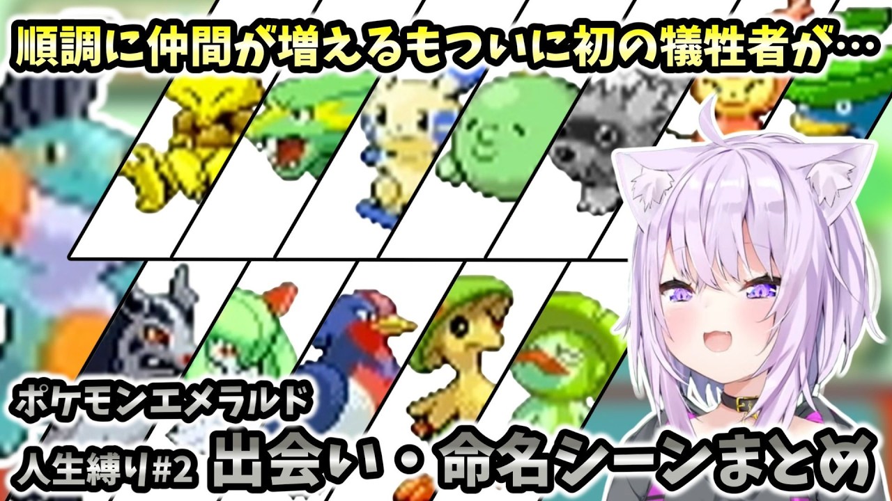 【ポケモン/エメラルド人生縛り】順調に仲間が増えるもついに犠牲者が…！おかゆのポケットモンスターエメラルド人生縛り#2 出会い・名づけシーンまとめ【ホロライブ切り抜き / 猫又おかゆ】