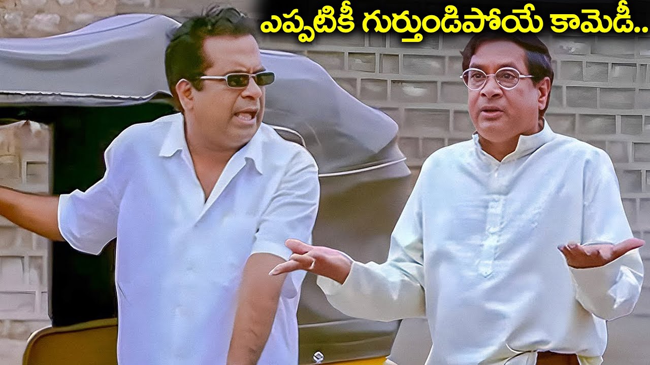 Ms Narayana And Brahmananda Back To Back Comedy Scenes | Telugu Movies Best Comedy Scenes