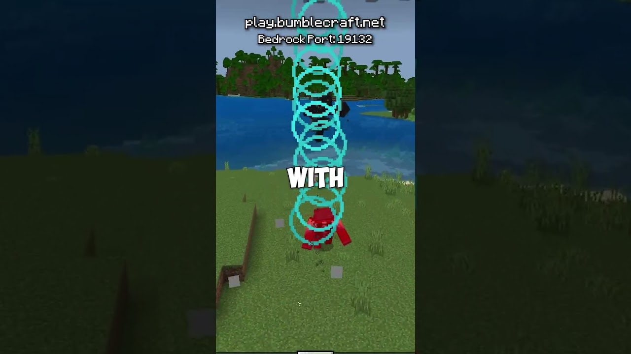 warden vs bedrock wither
