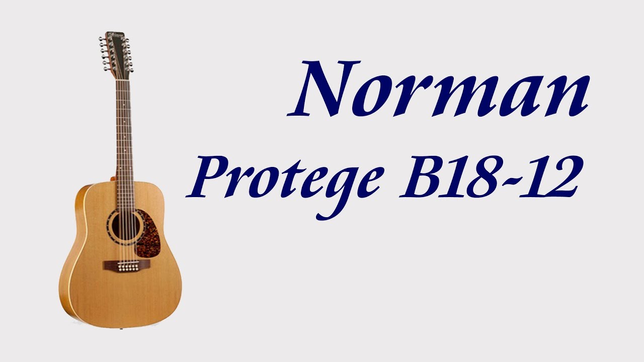 Обзор электроакустической 12 струнной гитары Norman Protege B18-12