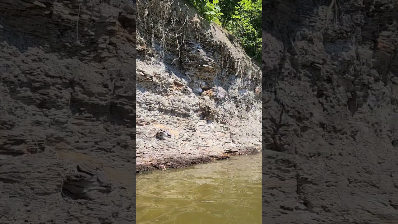 #nature #water #rocks #paddlesurf #life #ohio #glacial #outdoorrecreation