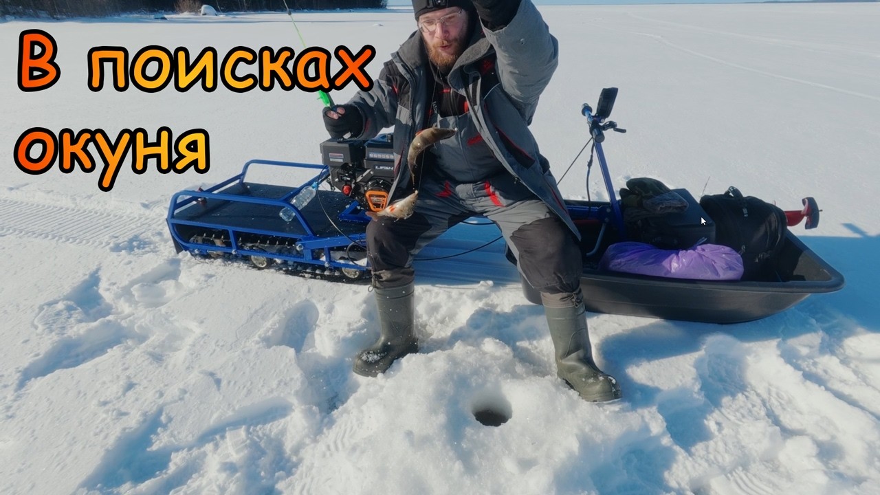 В поисках окуня
