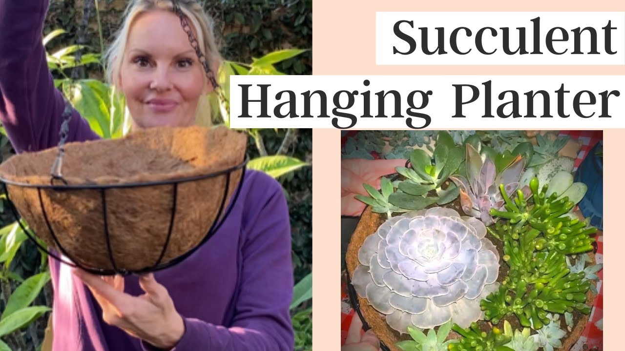 Succulent hanging baskets | Plant succulents with MOODY BLOOMS
