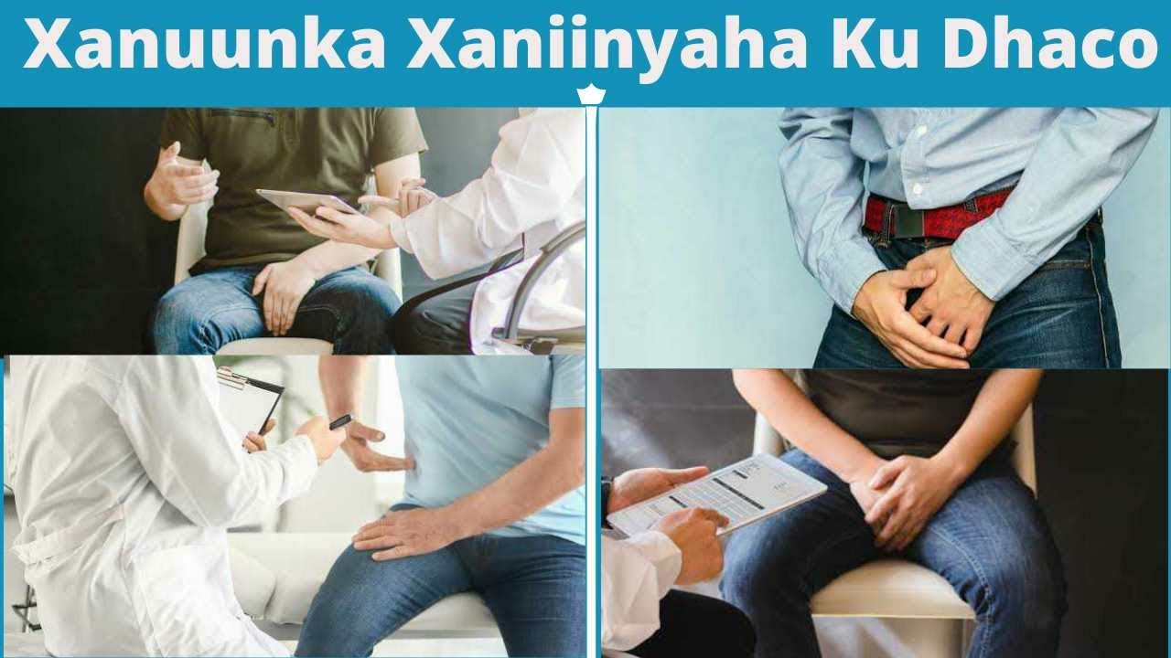 Xanuunka Xaniinyaha Ku Dhaco Ee Loo Yaqaano Epididymitis
