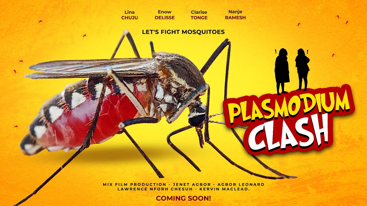 A Malaria Sensitization Movie: 