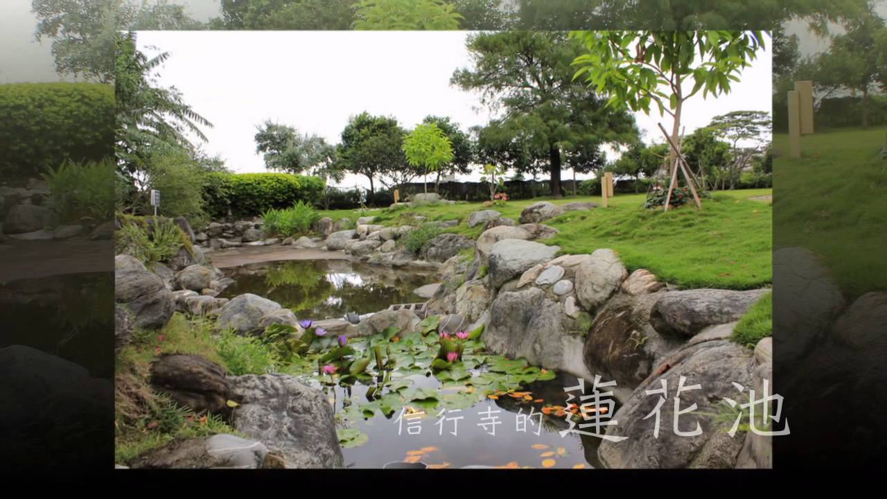 法鼓山 信行寺 動植物介紹
