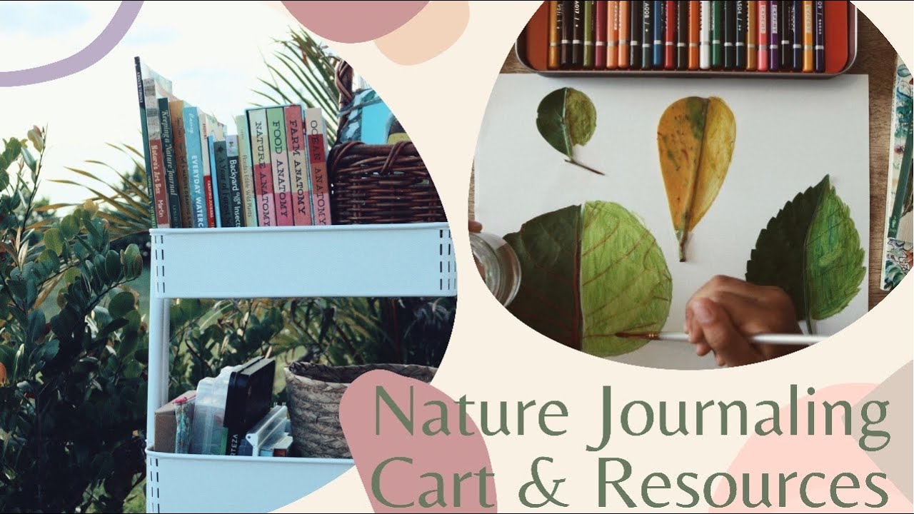 NATURE JOURNALING CART I Homeschool Nature Journal Resources & Art Supplies