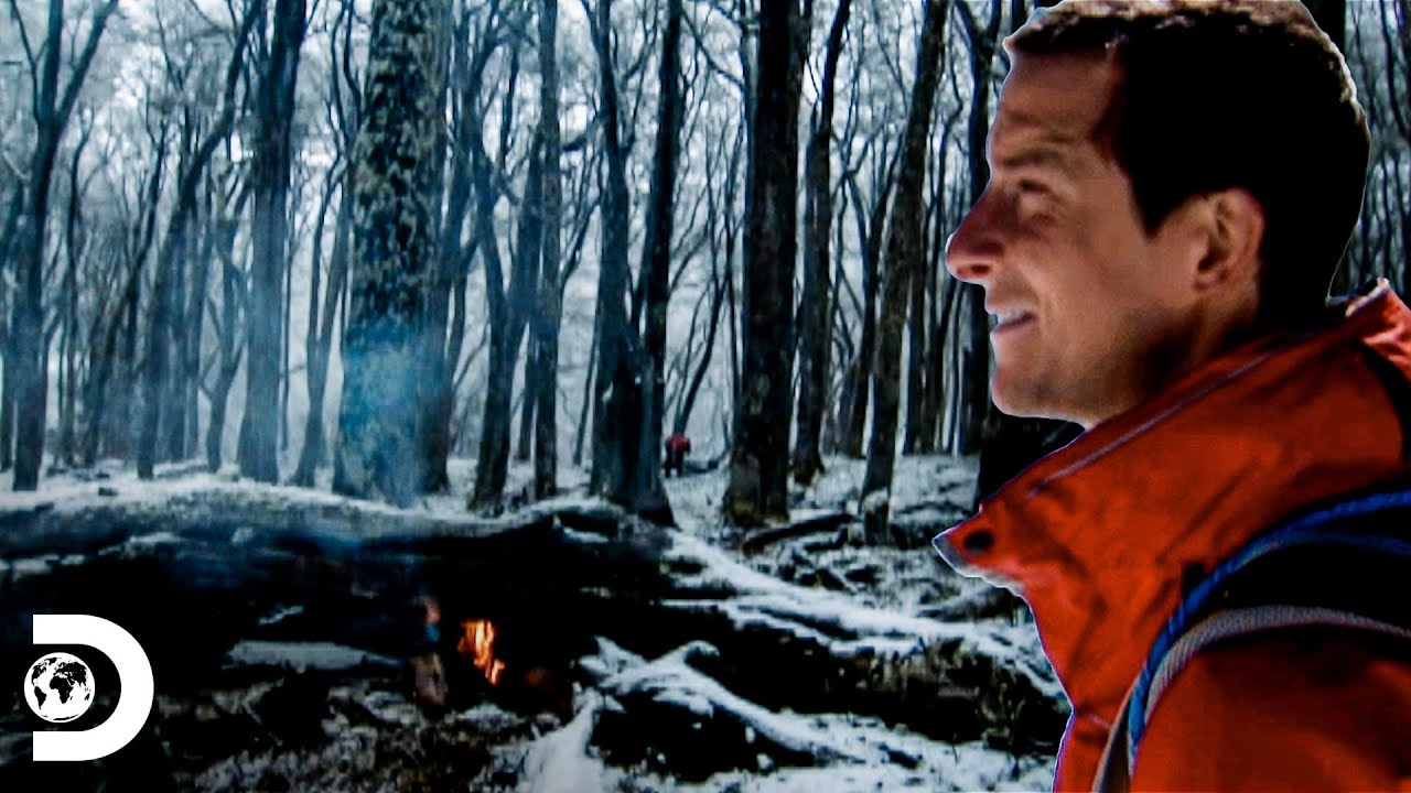 Bear Grylls atraviesa un bosque de plantas espinosas | A Prueba De Todo | Discovery en Español
