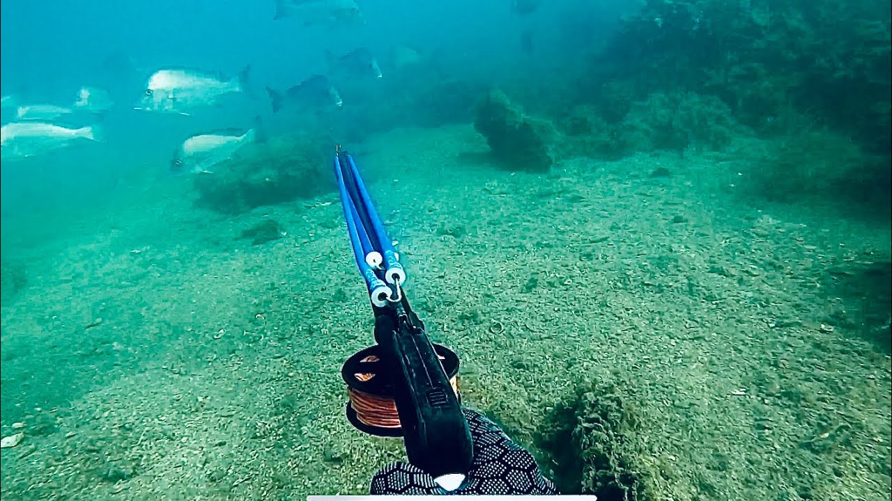 Spearfishing Shallow Water For Food | New Recipe Catch n Cook!
