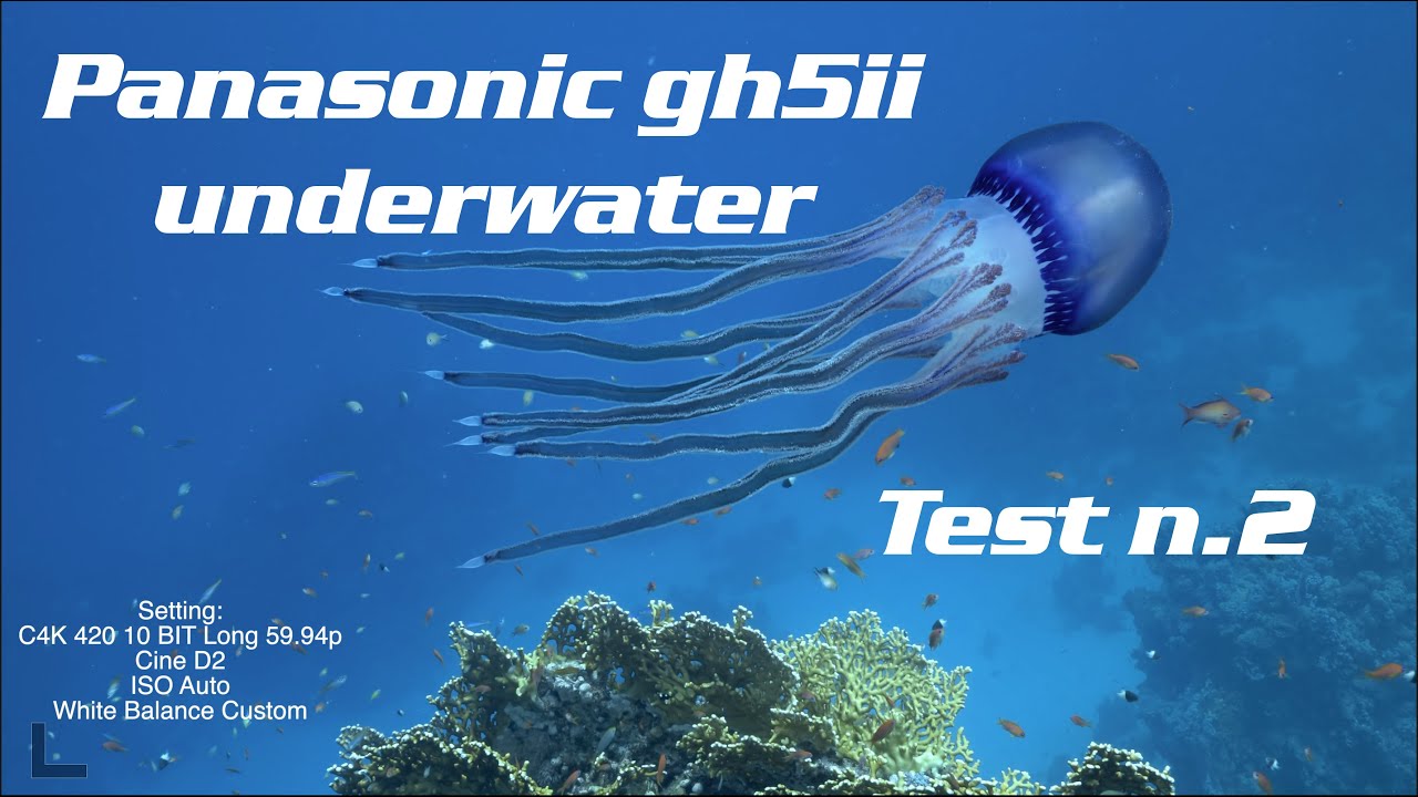 Panasonic GH5 Mark II underwater - Second test -