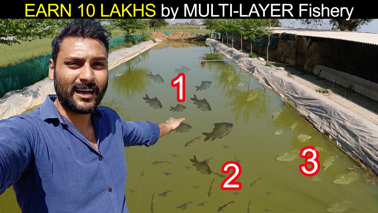 Germany 🇩🇪 Chod India me kiya Multi-Layer Fish Farming | कम लागत में ज़्यादा मुनाफा