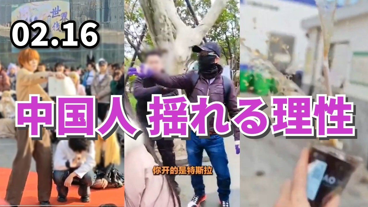 中国人、揺れる理性