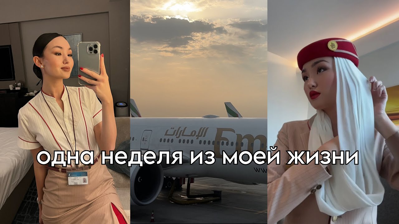 одна неделя из моей жизни: реальный график стюардесс, где спит экипаж в самолете, будни в Дубае
