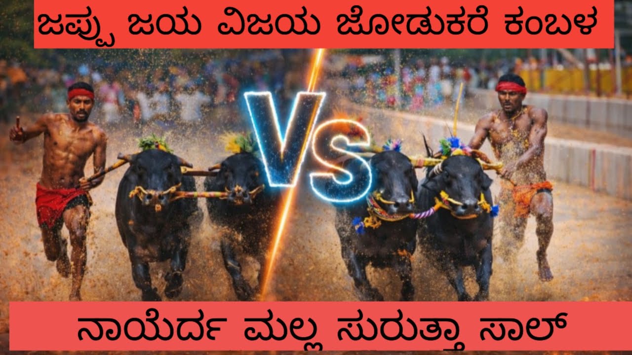 ನಾಯೆರ್ದ ಮಲ್ಲ ಸುರುತ್ತಾ ಸಾಲ್ ಜಪ್ಪಿನಮೊಗರು ಜಯ ವಿಜಯ ಜೋಡುಕರೆ ಕಂಬಳ 2026
