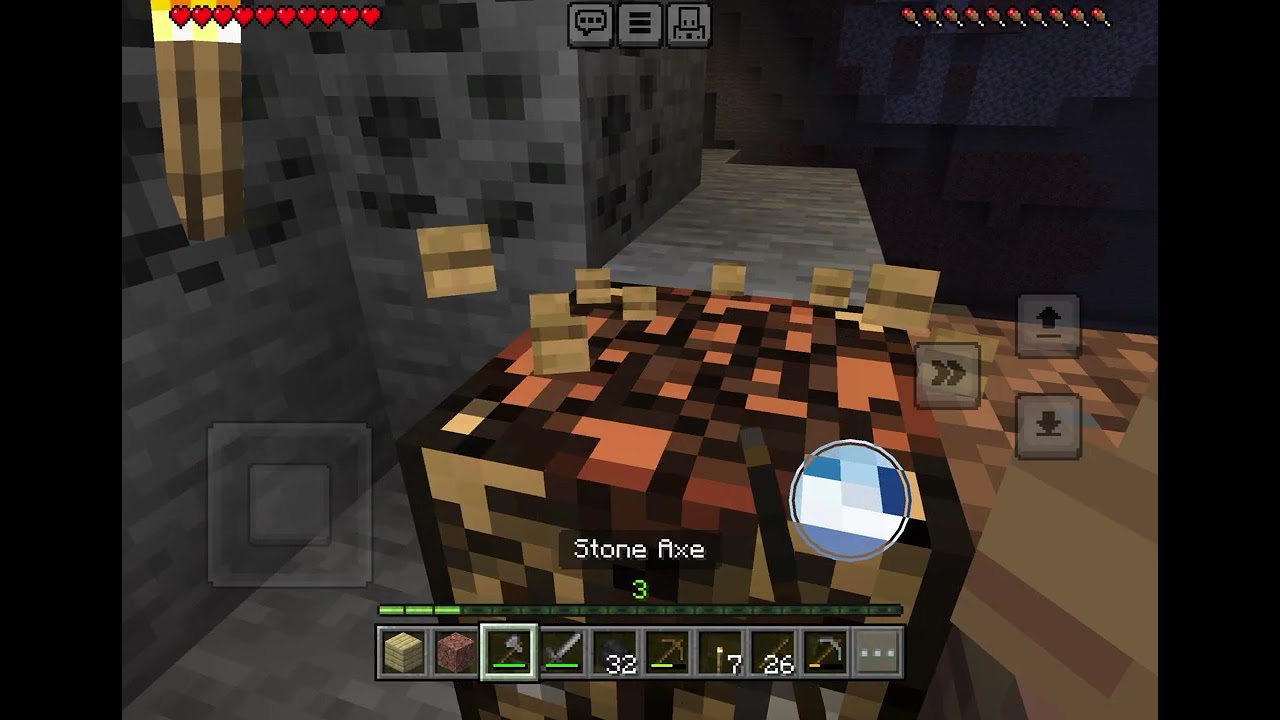 Playing Minecraft