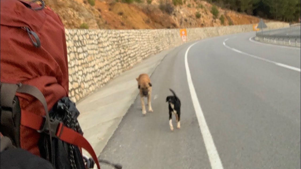 #6 ADIM ADIM TÜRKİYE 🇹🇷