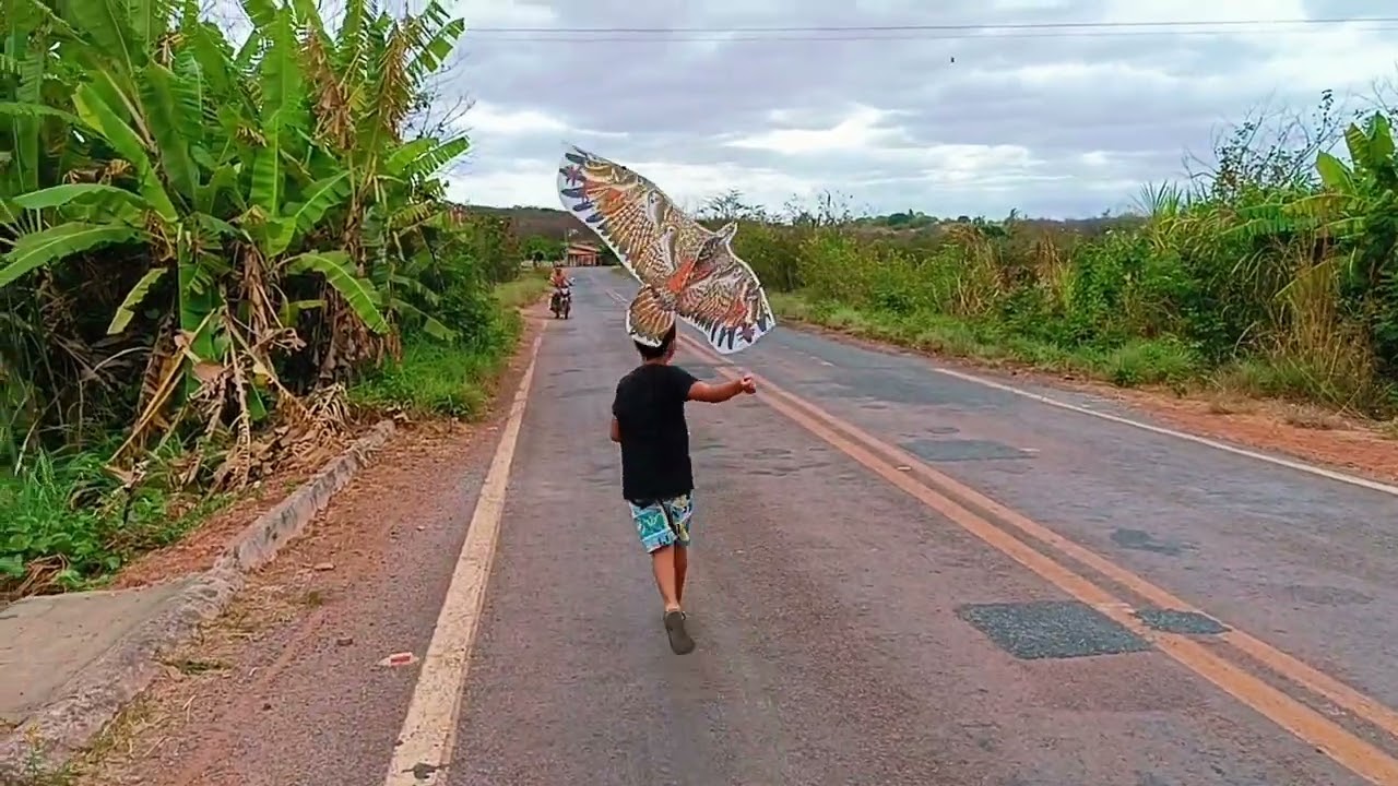 Testei a Pipa Gavião Esse foi o resultado