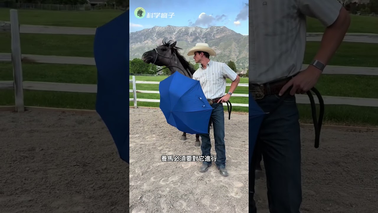 馬的後踢腿殺傷力有多大？