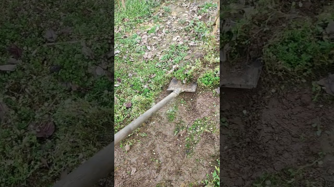 Weeding the Garden Before Planting | Village Life 🌱🌾