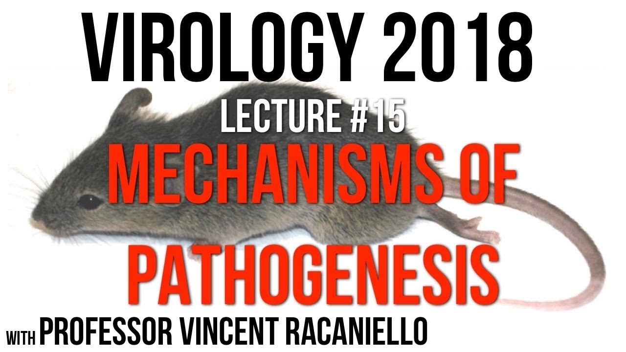 Virology Lectures 2018 #15: Mechanisms of Pathogenesis