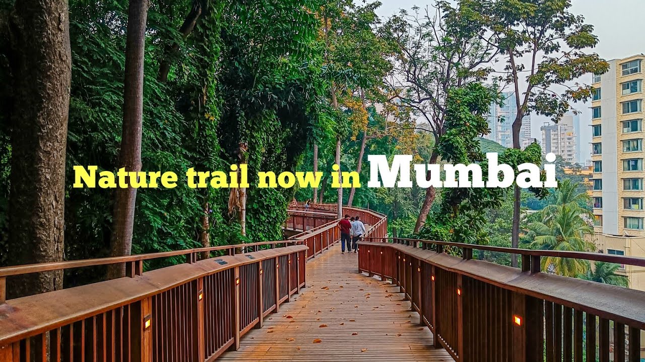 Singapore Vibes in Mumbai? 🇸🇬 Exploring the New Malabar Hill Forest Walk