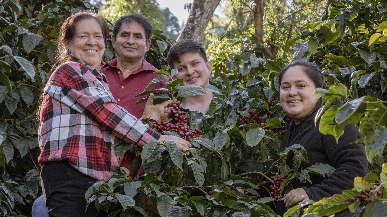 Finca Las Duanas Taza De la Excelencia El Salvador 2025 Categoría Experimental.