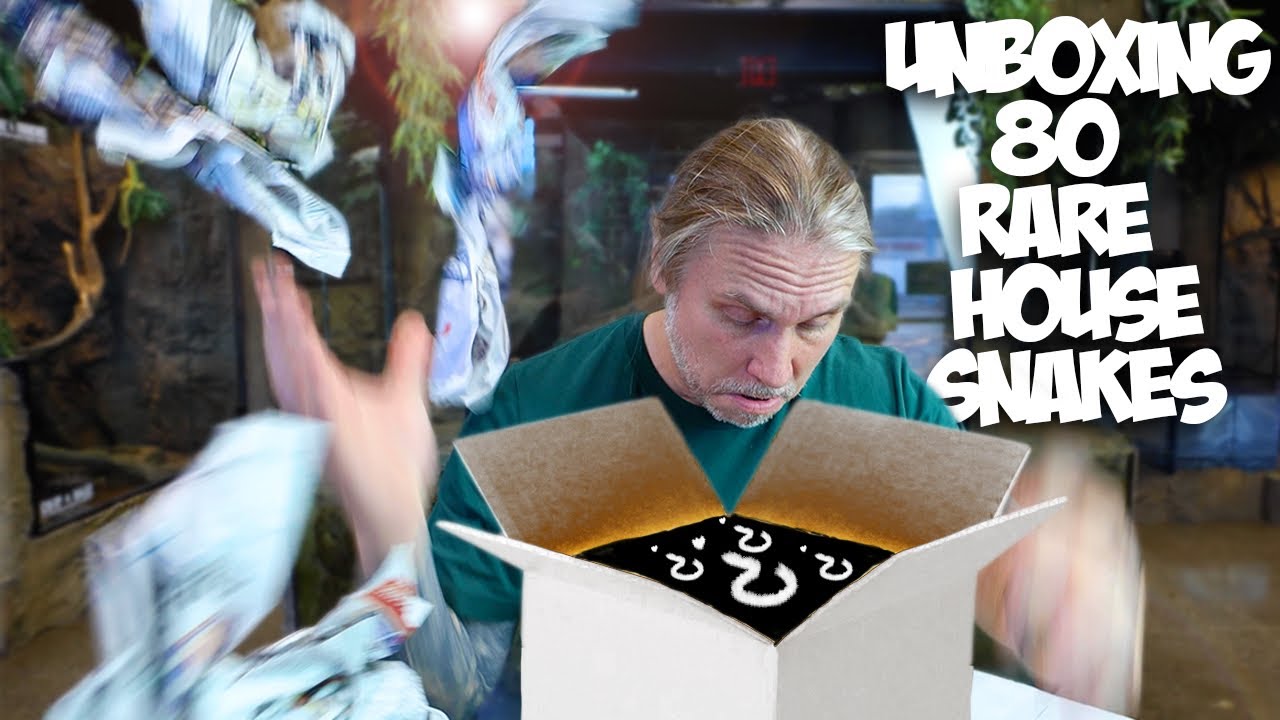 INSANE 80 RARE HOUSE SNAKE UNBOXING!! | BRIAN BARCZYK