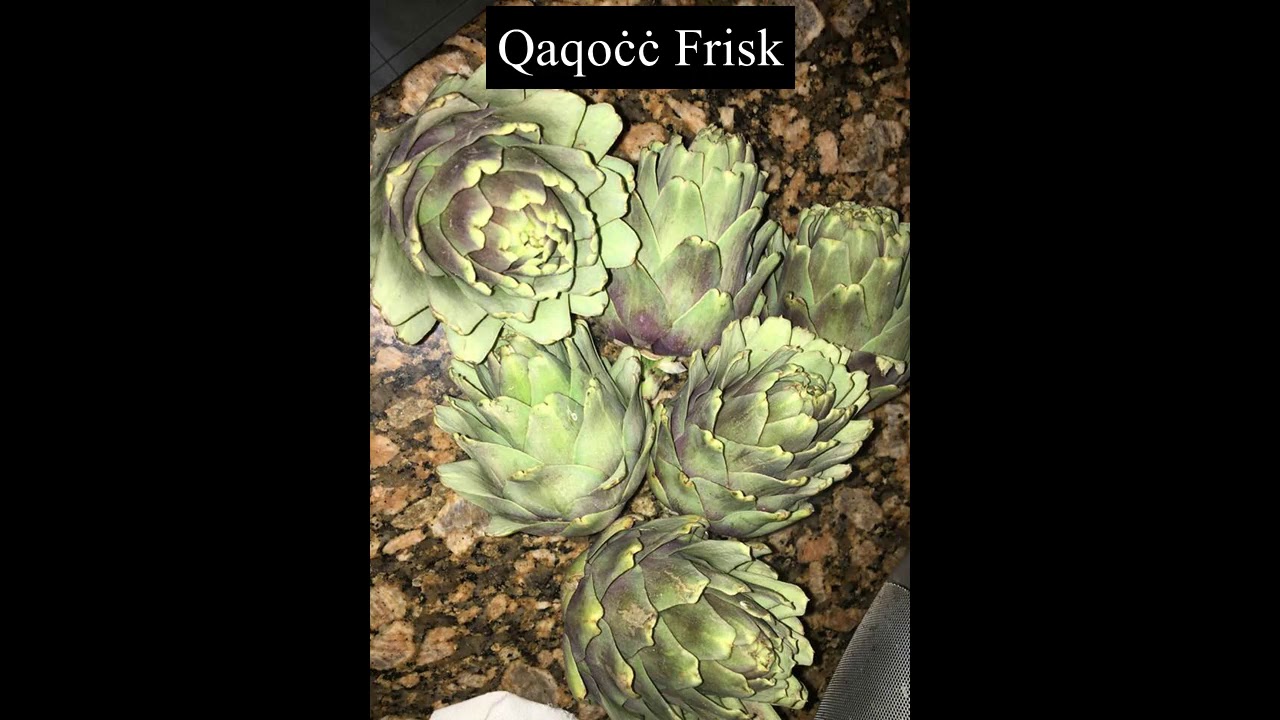 Qaqocc mimli (stuffed artichokes)