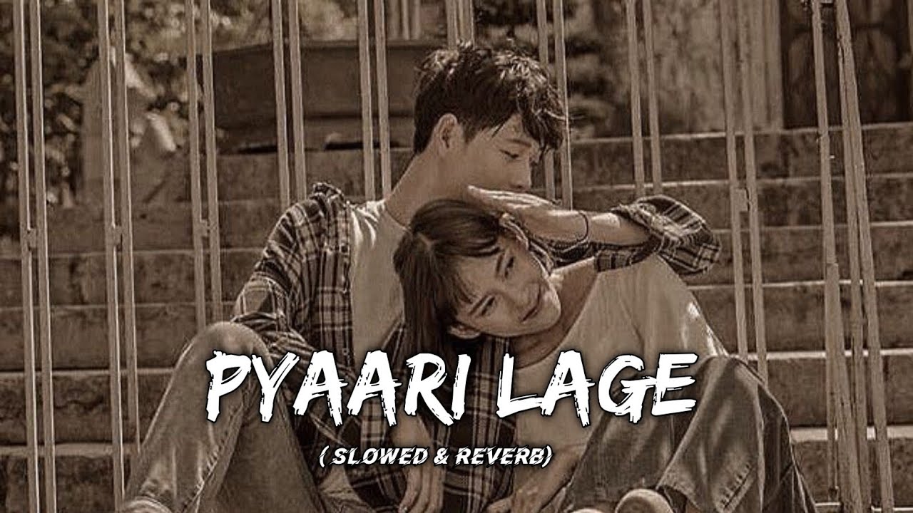 Pyaari Lage (Slowed + Reverb) | Vishal Mishra, Tulsi Kumar | Border 2 | ArtXVa 