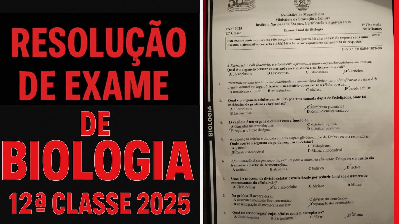 RESOLUÇÃO DE EXAME DE BIOLOGIA 12ª CLASSE 2025 (EXPLICADO PASSO A PASSO)