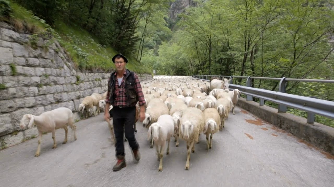 Su Telebelluno il documentario di Confortin 