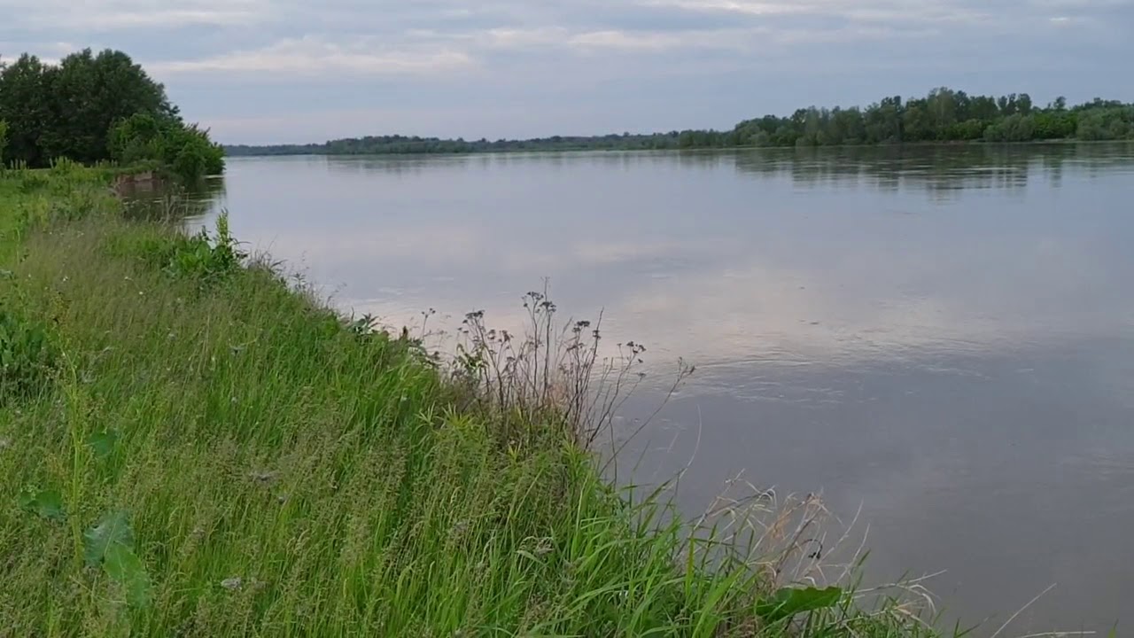 Wisła przed falą wezbraniową - Piotrk&oacute;wek-Suchod&oacute;ł - 26.05.2019 r.